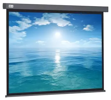 Экран рулонный Cactus Wallscreen CS-PSW-104X186-SG