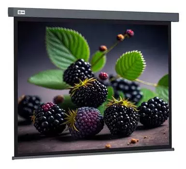 Экран рулонный Cactus Wallscreen CS-PSW-127X127-SG