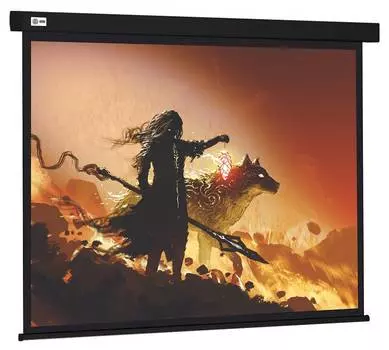 Экран рулонный Cactus Wallscreen CS-PSW-149X265-BK