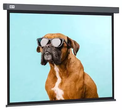 Экран рулонный Cactus Wallscreen CS-PSW-149X265-SG
