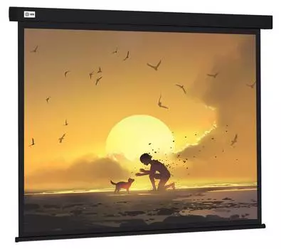 Экран рулонный Cactus Wallscreen CS-PSW-150X150-BK