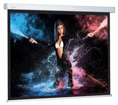 Экран рулонный Cactus Wallscreen CS-PSW-168x299