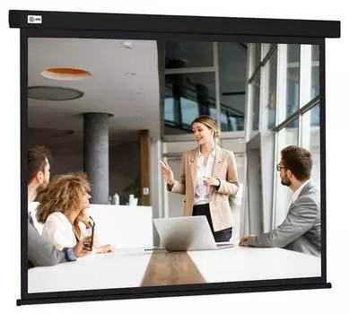 Экран рулонный Cactus Wallscreen CS-PSW-168X299-BK