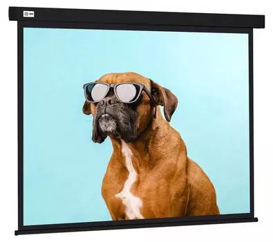 Экран рулонный Cactus Wallscreen CS-PSW-183X244-BK