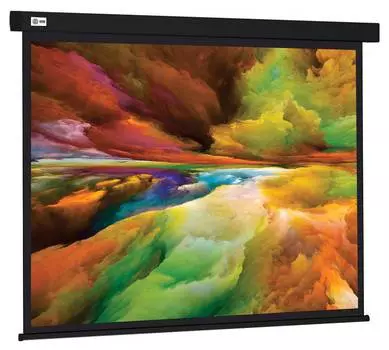 Экран рулонный Cactus Wallscreen CS-PSW-206X274-BK