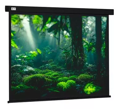 Экран рулонный Cactus Wallscreen CS-PSW-213X213-BK