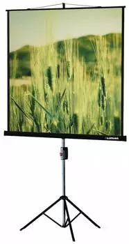 Экран рулонный Lumien Master Picture LMP-100101