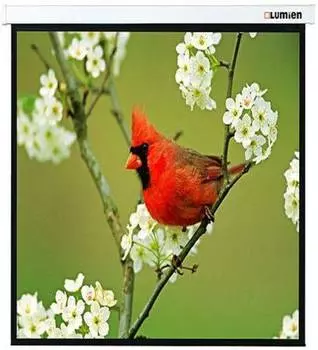 Экран рулонный Lumien Master Picture LMP-100129