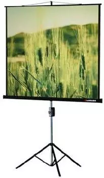 Экран рулонный Lumien Master View LMV-100112