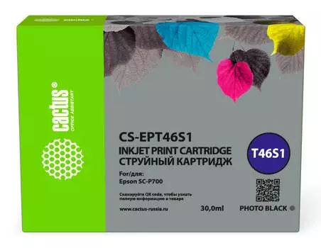 Картридж Cactus CS-EPT46S1 T46S1 фото черный