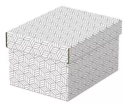 Короб для хранения Esselte S (628280)