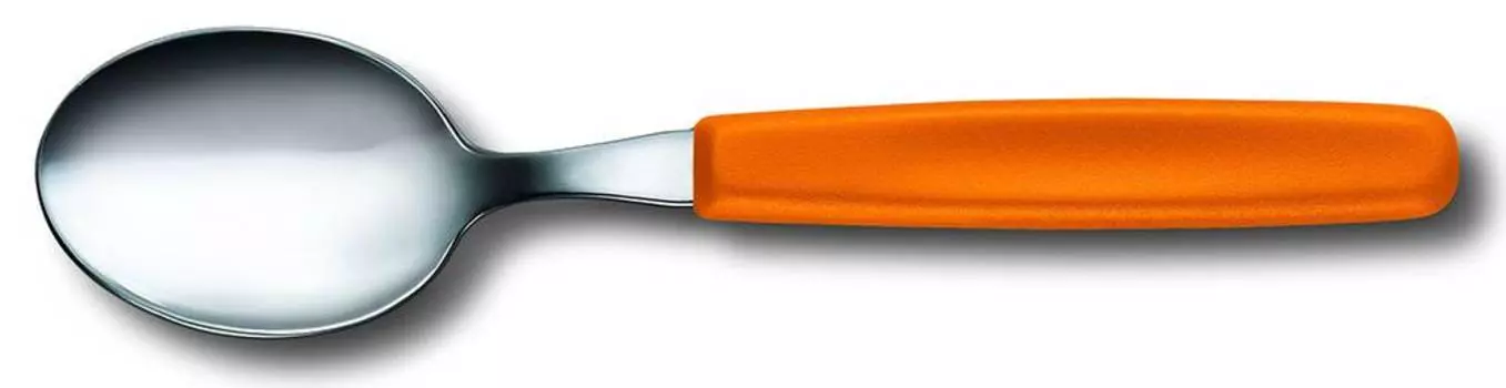 Ложка столовая Victorinox Swiss Classic (5.1556.l9)
