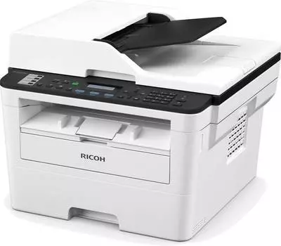 МФУ Ricoh SP 230SFNw серый (408293)
