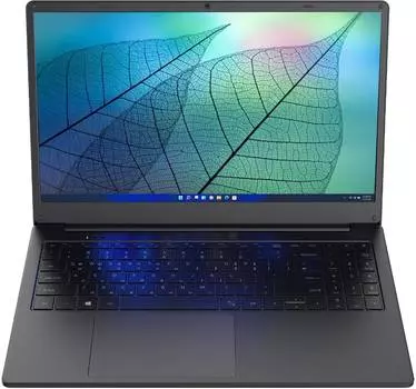 Ноутбук Hiper Workbook N15RP, 15.6", IPS, AMD Ryzen 5 3500U, DDR4 8ГБ, SSD 256ГБ, AMD Radeon Vega 8, черный (n15rp95as)