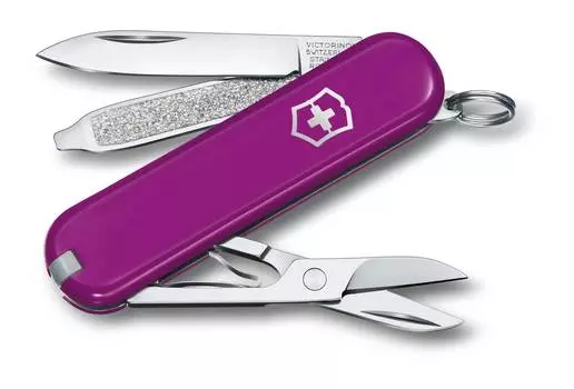 Нож Victorinox Classic Tasty Grape (0.6223.52b1)