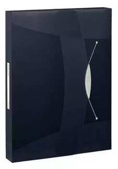 Папка на резинке Esselte Vivida 624049