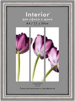 Рамка Светосила Interior Office 290 21х30см серебристый (5-11748)