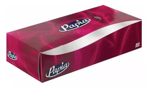 Салфетки бумажные Papia 5055478 100лист.