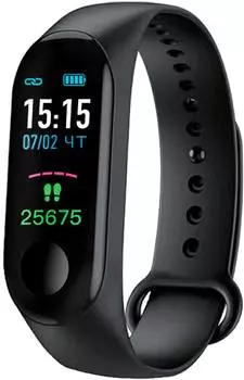 Смарт-браслет SunWind SB20 TFT черный/черный