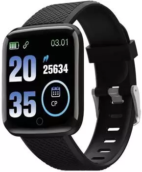 Смарт-часы SUNWIND SW25 черный (sw25b)