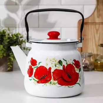 Чайник Маки (3500 мл)