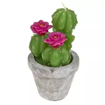 Свеча декоративная Кактус (8х8х15 см)