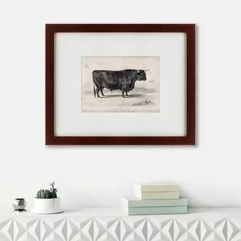 Картина A West Highland Bull (42х52 см)