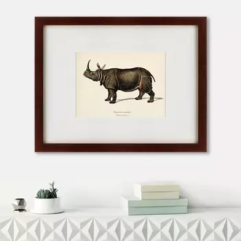 Картина Rhinoceros Ancienne Gravure (47х60 см)