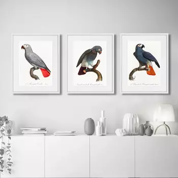 Коллекция Beautiful parrots №2 (42х52 см - 3 шт)