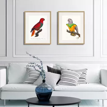 Коллекция Beautiful parrots №3 (42х52 см - 2 шт)