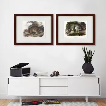Коллекция The big cats of North America (47х60 см - 2 шт)