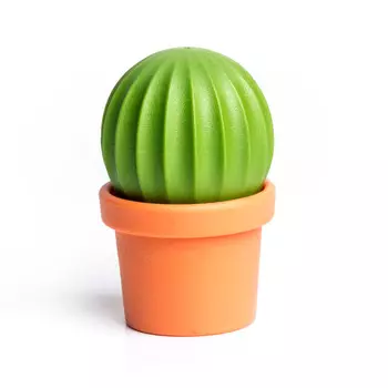 Набор для специй Cactus (4х7х1 см)