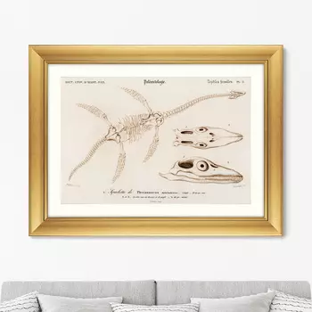 Plesiosaurus, 1849г. (61х81 см)