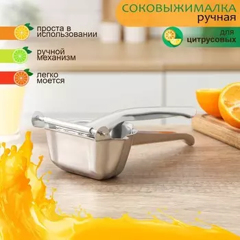 Соковыжималка (23 см)