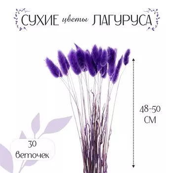 Сухоцвет (Набор)