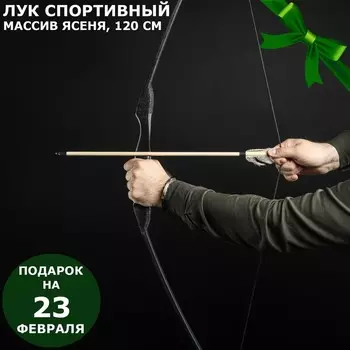 Сувенирное оружие Лук спортивный (120 см)