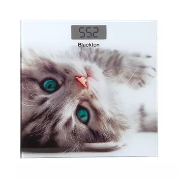Blackton Bt BS1012 Kitten