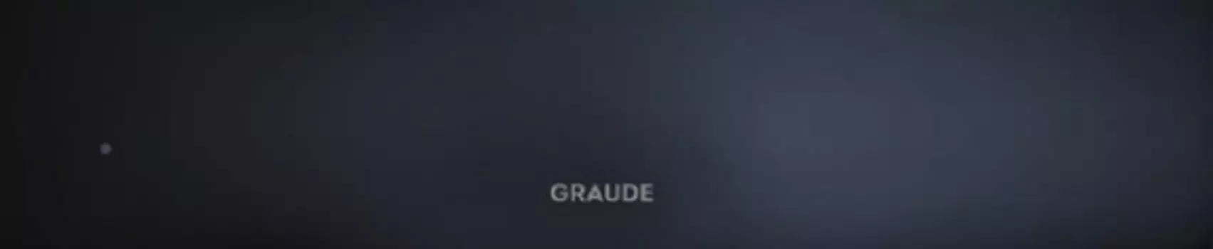 GRAUDE WS 14.0 S