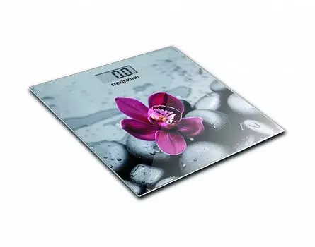 Redmond RS-733 серый/орхидея