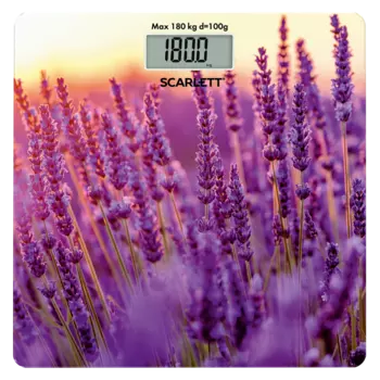 Scarlett SC-BS33E047 Lavender