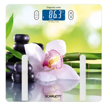 Scarlett SC-BS33ED10