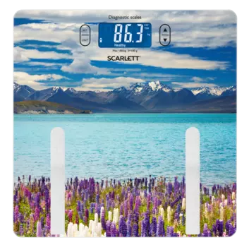 Scarlett SC-BS33ED11