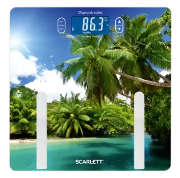 Scarlett SC-BS33ED12