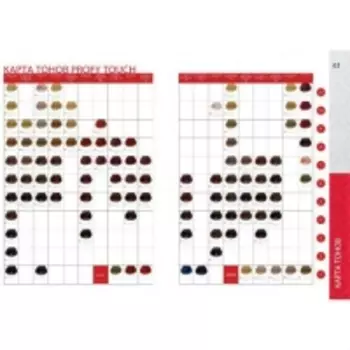 Concept - Карта тонов с кисточками Profy Touch 2016 ECO, 1 шт