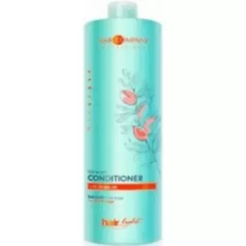 Hair Company Professional Light Bio Argan Conditioner - Бальзам для волос с био маслом Арганы, 1000 мл