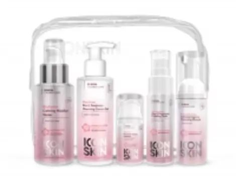 Icon Skin - Набор миниатюр для ухода за комбинированной и нормальной чувствительной кожей № 2, 5 средств