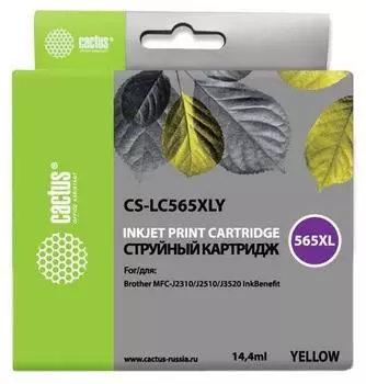 Картридж струйный Cactus