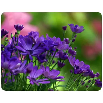 Коврик для мыши Buro