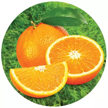 Коврик для мыши Buro