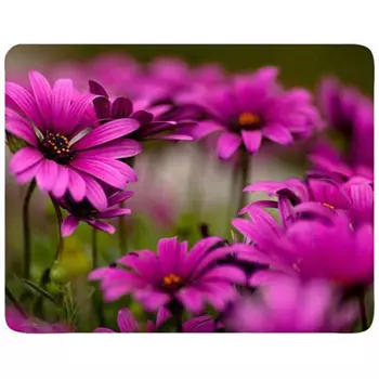 Коврик для мыши Buro